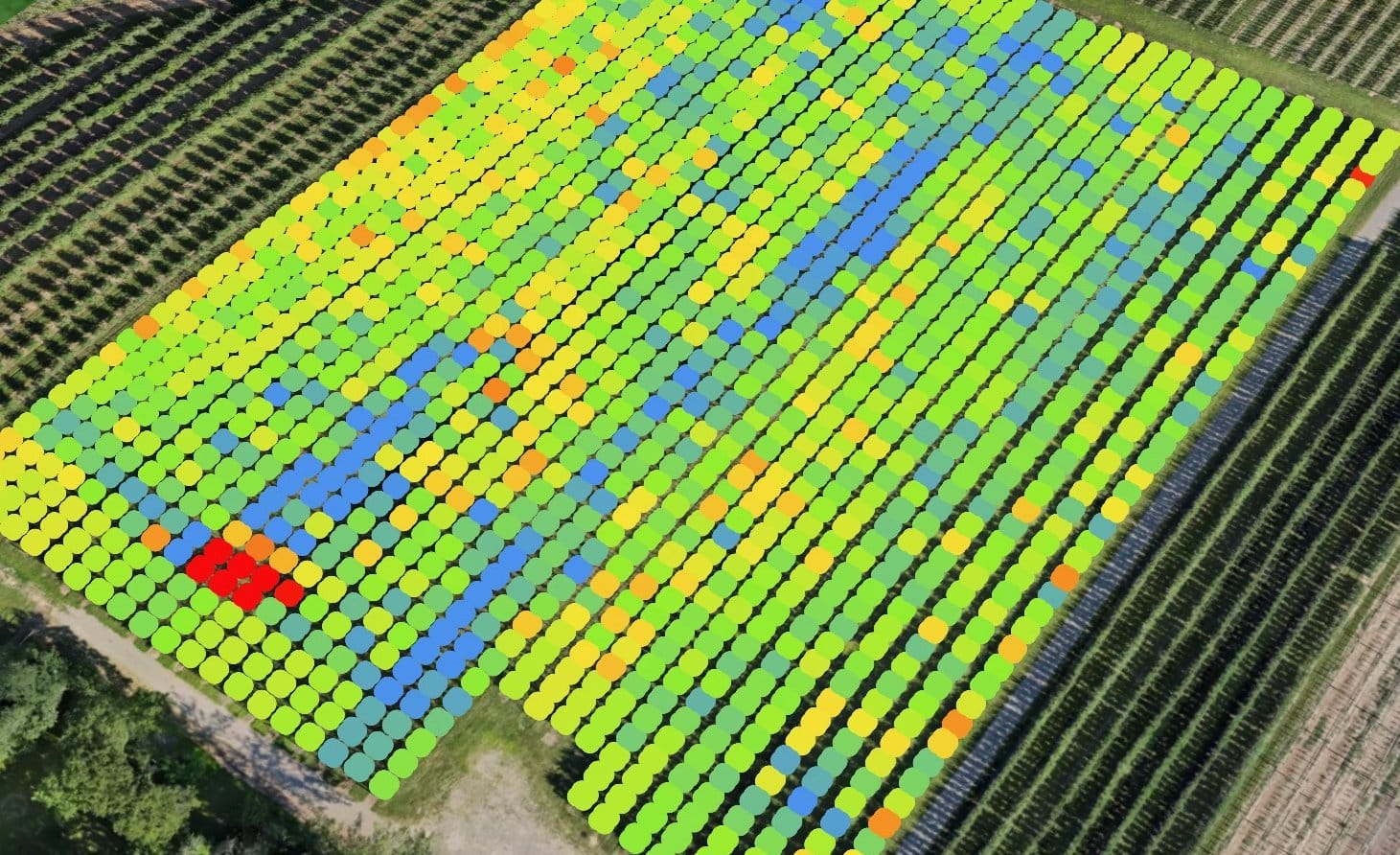 Orchard Robotics Apple Classification