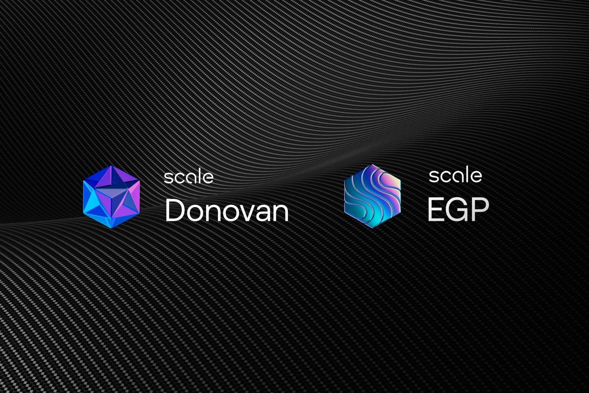 A letter from our CEO